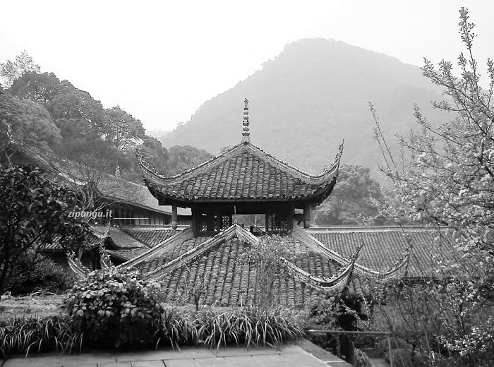 Dove dormire in Cina; esperienze da non perdere: pernottare in un monastero sul Monte Emeishan