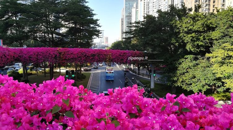 Guangzhou (Cina): un sovrappasso pedonale in centro