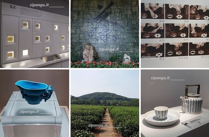 Hangzhou: visita al Museo Nazionale del Tè (中国茶叶博物馆)