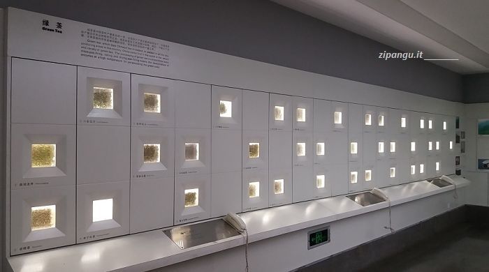 Due giorni in Hangzhou: visita al Museo Nazionale del Tè
