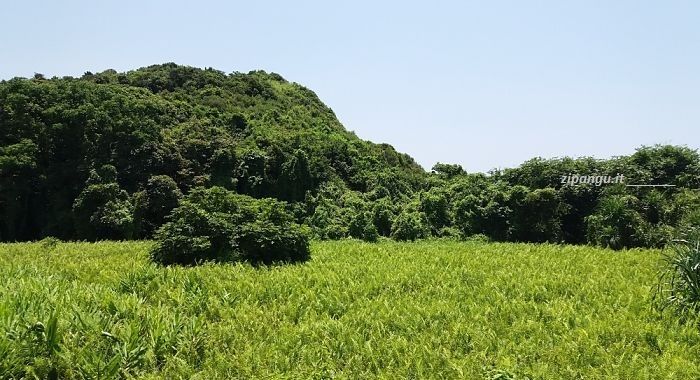 Hong Kong; isole minori: Lamma