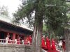 Pechino, Tempio di Confucio Dieci giorni in Cina; primo giorno: Pechino, KongMiao