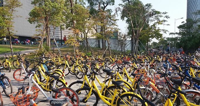 Biciclette in condivisione nella città di Shenzhen; un buon modo per muoversi in Cina spendendo poco