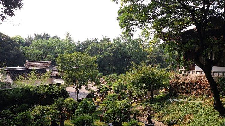 Due giorni a Suzhou: la Collina della Tigre