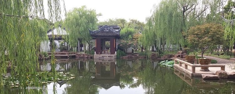 Viaggio in Cina: visita a Suzhou