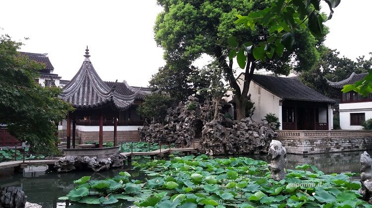 Escursione a Suzhou a partire da Shanghai: visita al Giardino ShiziLinYuan