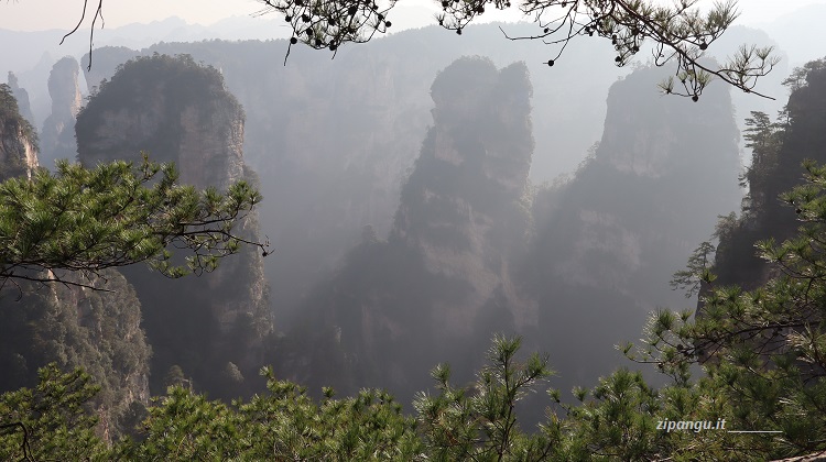 Zhangjiajie (Cina): Parco Forestale Nazionale di Wulingyuan; l'ingresso è piuttosto costoso