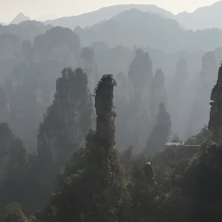Cina: Zhangjiajie; Huangshizhai; particolari formazioni rocciose