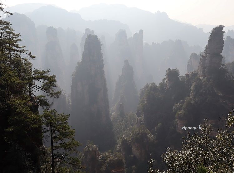 Cina: Zhangjiajie; Huangshizhai; formazioni rocciose di particolare bellezza
