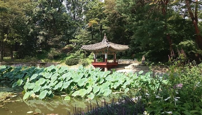 Visita a Seoul : il Giardino Segreto