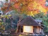 Viaggio in Giappone di tre settimane: 17° giorno - visita a Kyoto, Higashiyama