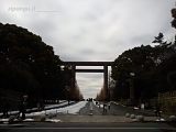 Tokyo Tokyo: Chiyoda