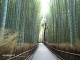 Secondo giorno a Kyoto: Arashiyama