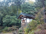 Kyoto Giappone: Kyoto
