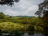 Nara Giappone: Nara