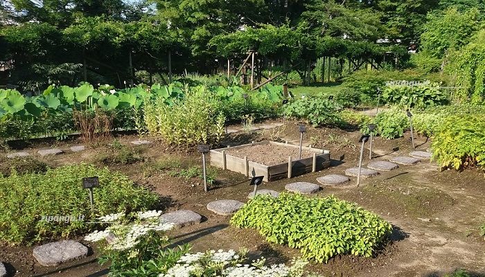 Cosa vedere ad Aizu-Wakamatsu: Oyaku-En, l'ortaglia