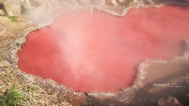 Viaggio a Beppu: Kamado-jigoku; stagno rosso
