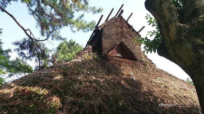 Piccole cose da vedere a Hiroshima: un bellissimo tetto in materiale naturale