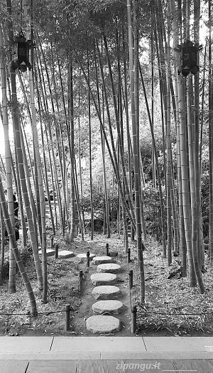 Escursioni da Tokyo: Kamakura