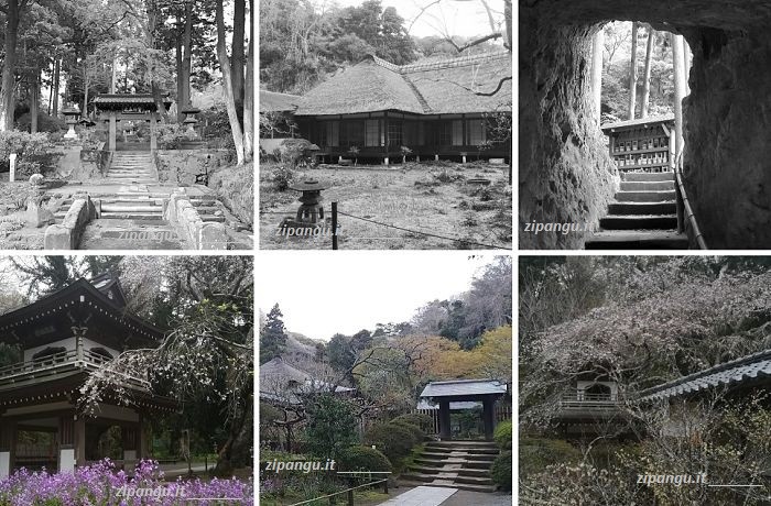 Giappone: Kamakura Dieci giorni a Tokyo: visita a Kamakura