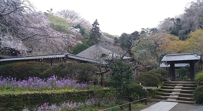 Viaggio di dieci giorni in Giappone; gite da Tokyo: Kamakura