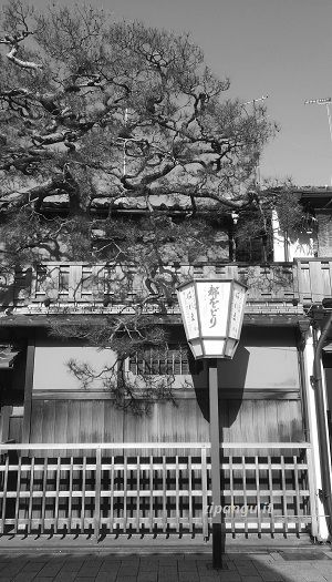 Percorsi a piedi a Gion: una strada; lanterna in stile locale