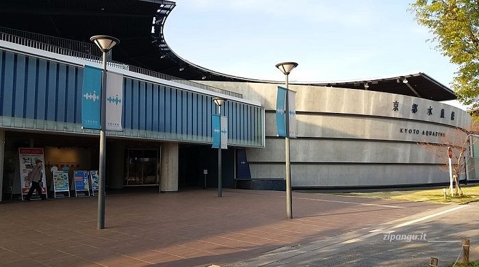 Cosa vedere vicino alla Stazione di Kyoto: l'Acquario di Kyoto