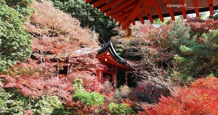 Kyoto in autunno Viaggio a Kyoto in autunno. l'incanto del koyo