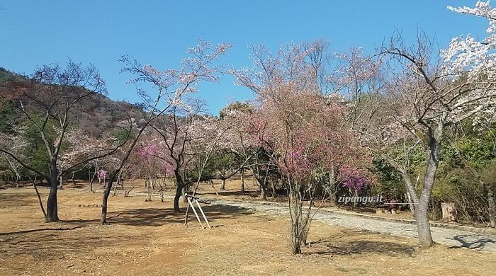 Arashiyama (Kyoto): Parco di Kemayama