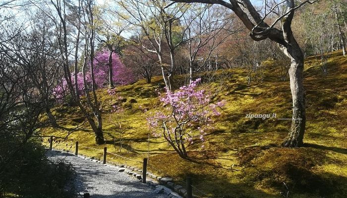 Cosa vedere ad Arashiyama (Kyoto): Tenryu-Ji, giardini