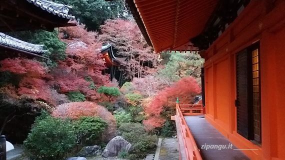 Giappone in autunno: Kyoto