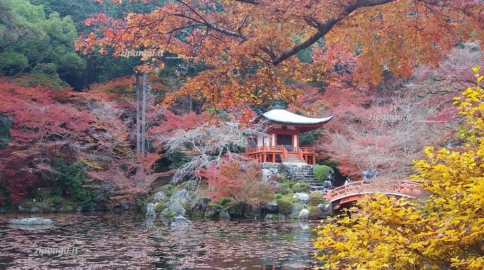 Sei giorni a Kyoto: visita al Daigo-Ji