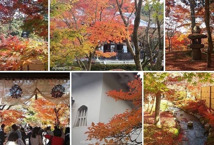 Viaggio in Giappone di tre settimane: visita a Kyoto, Tempio Eikan-Do