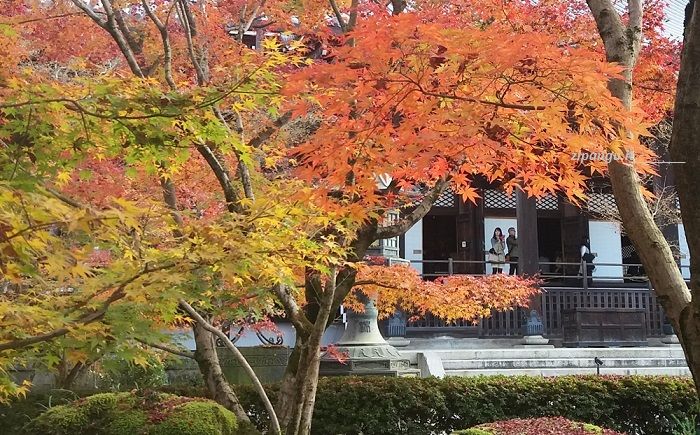 Giappone: Kyoto, Eikan-Do Zenrin-Ji Tre giorni a Kyoto nel periodo dei colori dell'autunno: visita all'Eikan-Do Zenrin-Ji