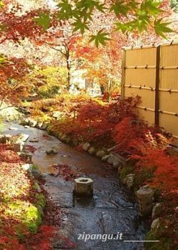 Kyoto: Eikan-Do Viaggio in Giappone: visita a Kyoto