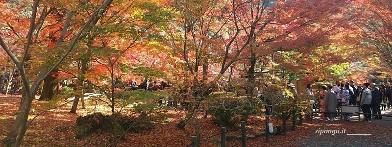 Kyoto: Eikan-Do Kyoto in autunno: Eikan-Do