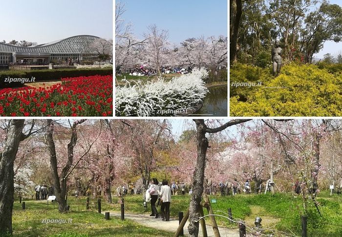 Kyoto: Giardini Botanici Itinerari lungo le linee della metropolitana di Kyoto: visita ai Giardini Botanici