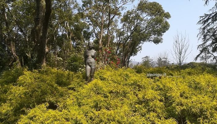 Quattro giorni a Kyoto; visita a Sakyo: Giardini Botanici