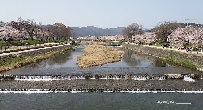 Kyoto: Fiume Kamo Cosa fare a Kyoto: passeggiare lungo il Fiume Kamo