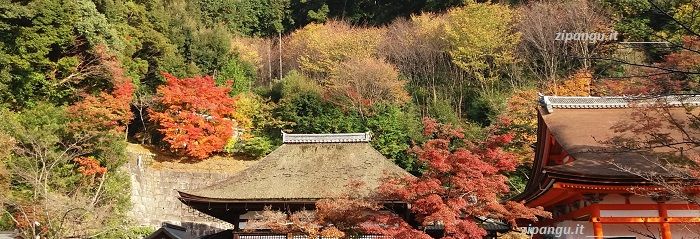 Kiyomizu-Dera (Kyoto): il tempio nella cornice dei colori dell'autunno