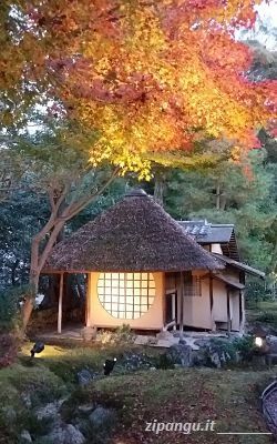 Kyoto: Kodai-Ji Autunno a Kyoto: Kodai-Ji