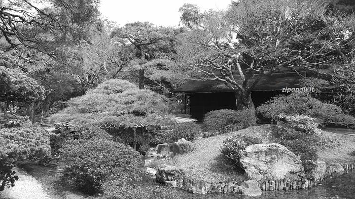 Cinque giorni a Kyoto: visita al Kyoto-Gosho