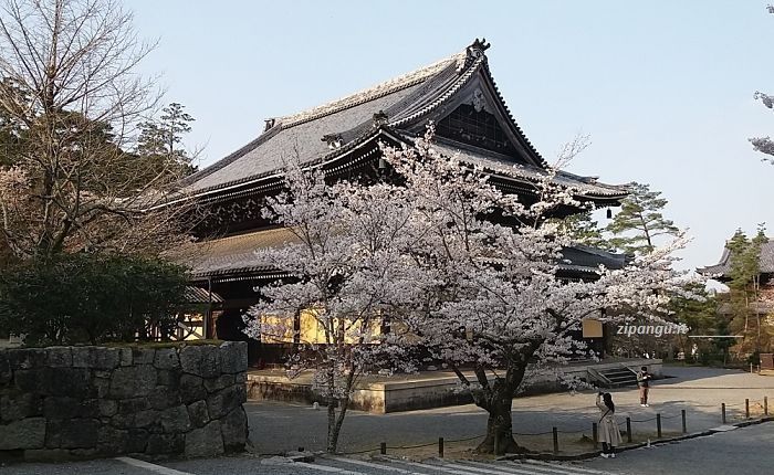 Giappone: Kyoto, Nanzen-Ji Kyoto: Nanzen-Ji, ciliegi