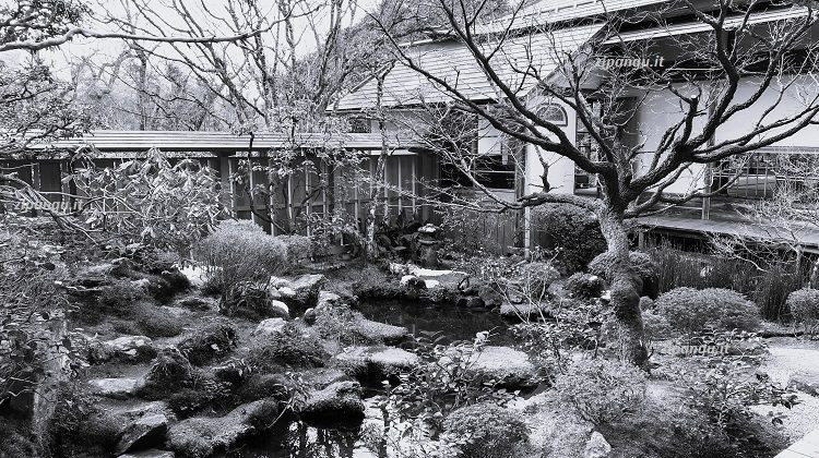 Sei giorni a Kyoto: visita a Ohara; Hosen-In