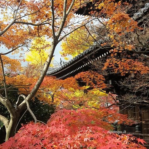 Secondo viaggio a Kyoto per il Koyo: Shinnyo-Do