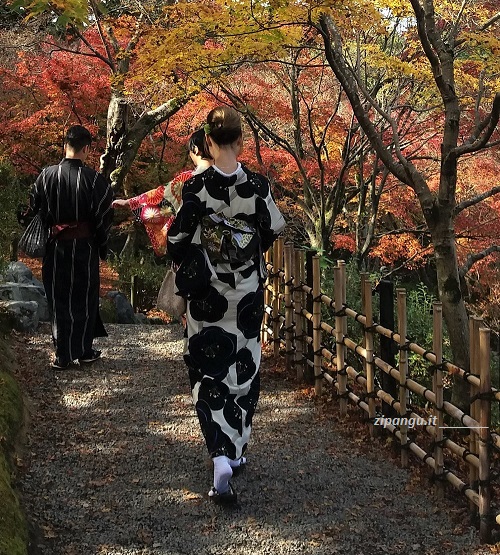 Cinque giorni a Kyoto: primo giorno; visita al Tofuku-Ji; giardino