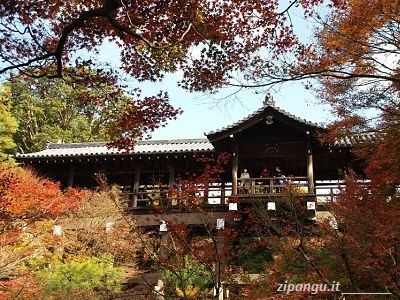 Koyo a Kyoto: visita al Tofuku-Ji