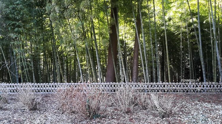 Cosa vedere nei dintorni di Tokyo: Mito; il giardino Kairaku-En