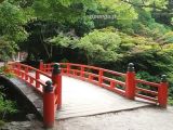 Miyajima Cosa visitare a Miyajima: il Parco di Momijidani