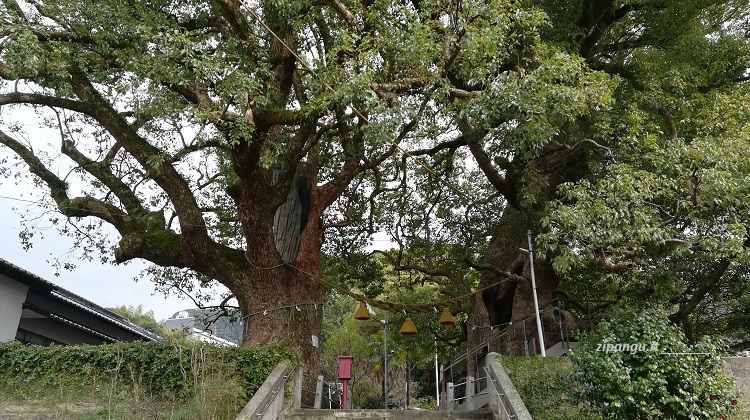 Itinerario in Giappone di tre settimane con tappe in Kyushu: Nagasaki; Sanno-Jinja